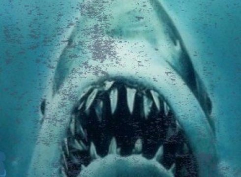 Jaws at Public Landing Beach