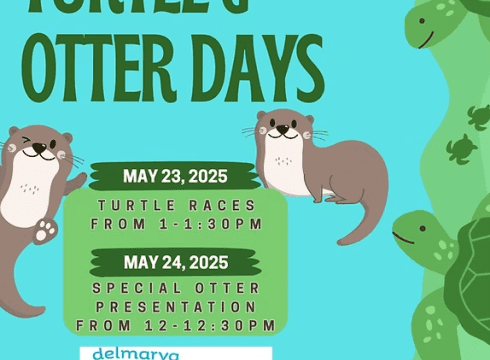 World Otter Day Celebration
