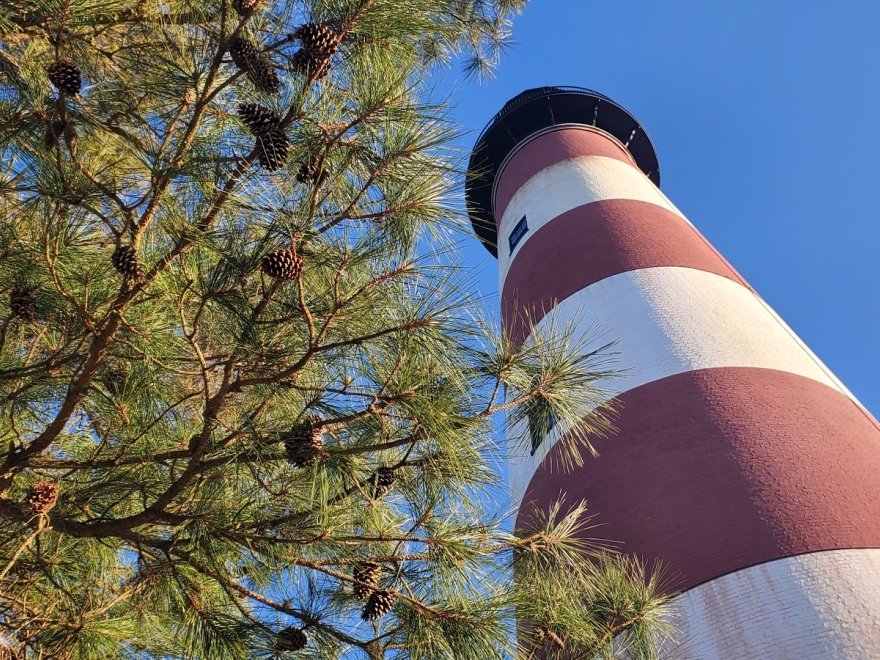 Assateague Island National Seashore