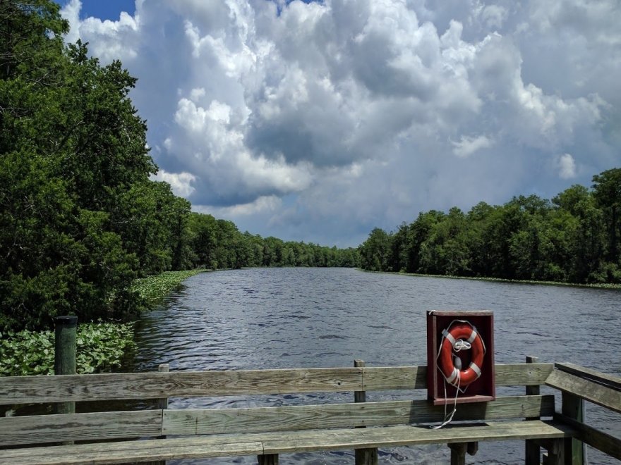 Pocomoke River State Park: Milburn Landing