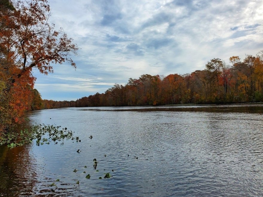 Pocomoke River State Park: Milburn Landing