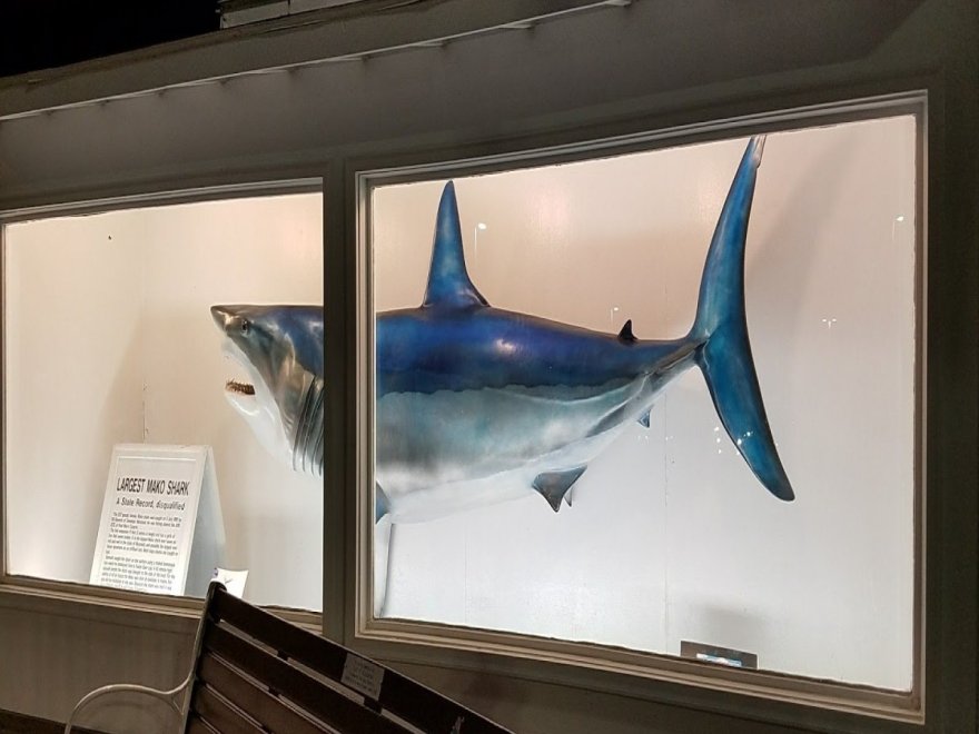 Ocean City Life-Saving Museum