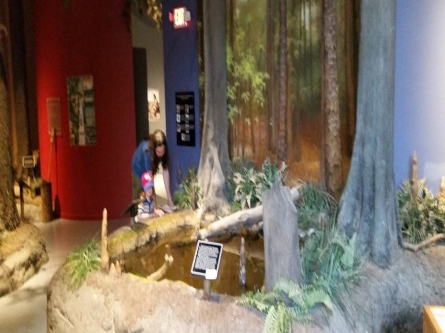 Delmarva Discovery Museum