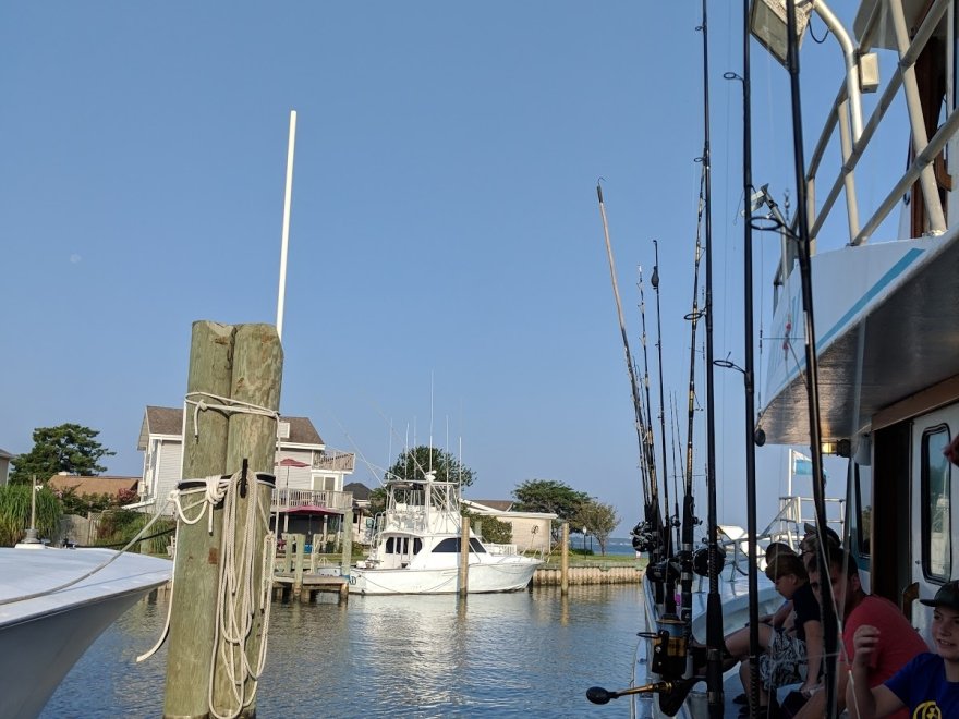 Judith M Fishing