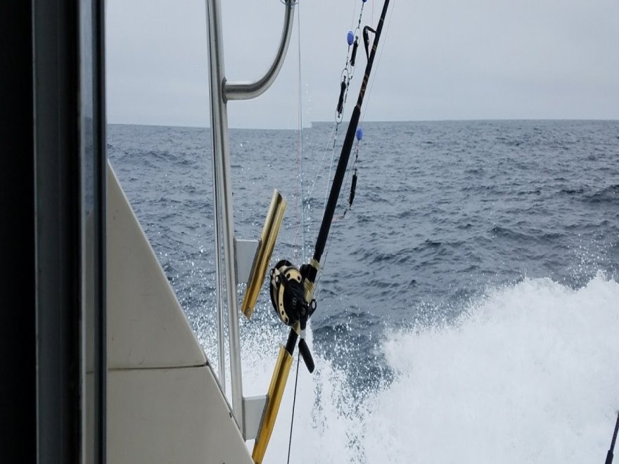 Fin Chaser Sportfishing Charters