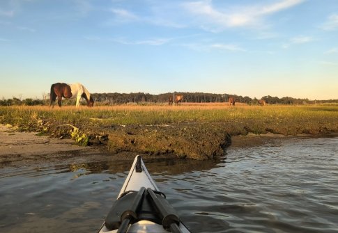 The Ultimate Paddler’s Guide to Maryland’s Coast