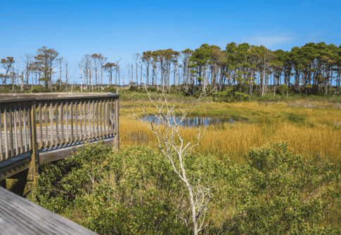 Experiencing Maryland 250 on Maryland’s Coast